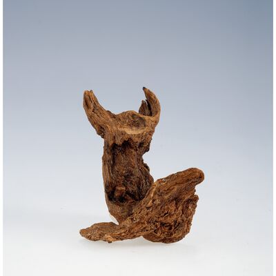 趙明明 越南富森紅土沈水香74.5g（箱付）