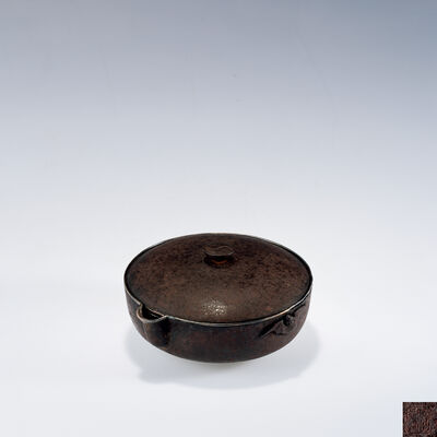 宮島信行作 鉄包銀蝙蝠太極摘宝瓶