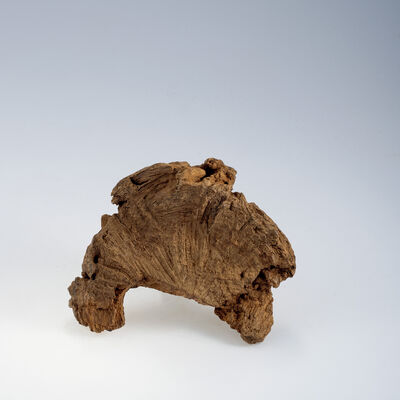 趙明明 越南富森熟結橫絲紅土沈香168g（箱付）