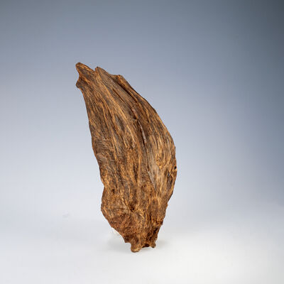 一帆風順 沈香木