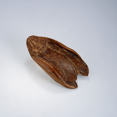 沈香木葉形茶則（箱付）