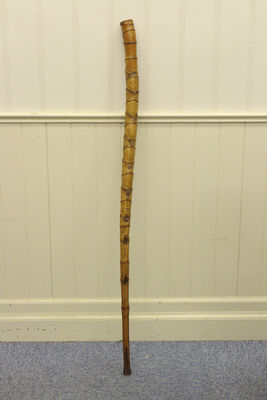 竹杖