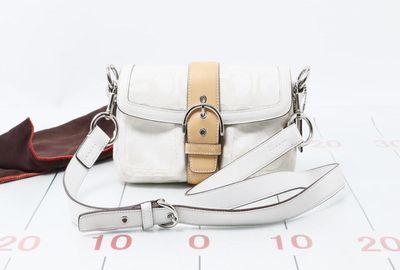 439-03597 ＣＯＡＣＨ ショルダーバッグ