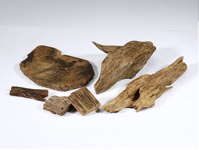 181 越南 奇楠塊