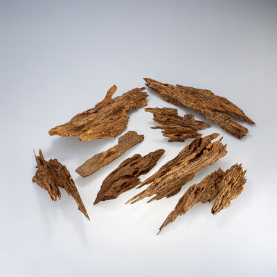 越南野生芽莊沈香 558g