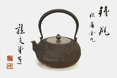 龙文堂造 平丸型银摘铁瓶