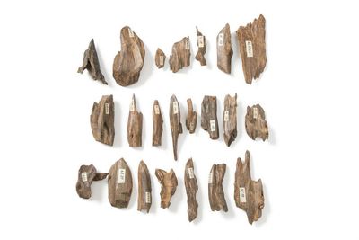 古渡 沈香片計22件