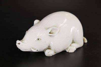 白瓷 干支豬置物