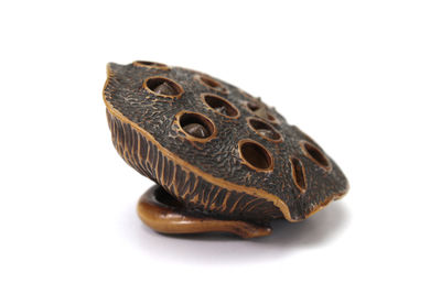 蓮 根付 （共箱）