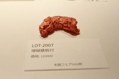 L2007　珊瑚 猿 根付