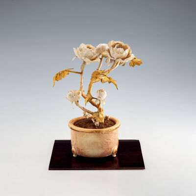 安藤緑山作 牙彫 鉢植牡丹 出版物有（木箱）