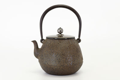 龍文堂安之介造 長閑形鉄瓶 胴橫銘（共箱）